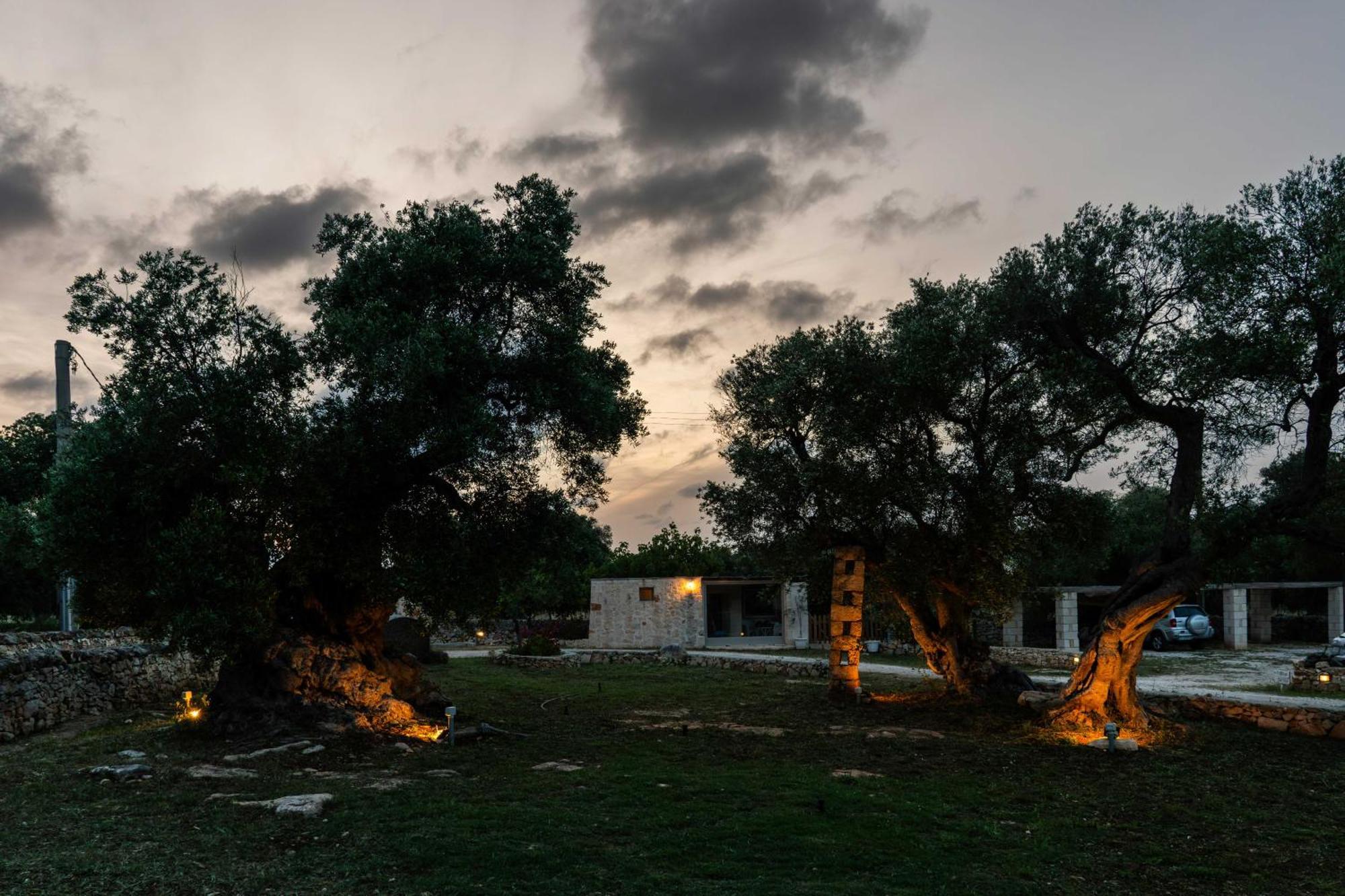 فيلانوفا دي أوستوني Masseria Della Piana المظهر الخارجي الصورة